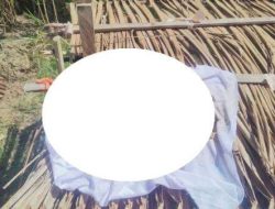 Misteri Kerangka Manusia di Kebun Gorontalo: Polisi Buru Identitas dan Penyebab Kematian