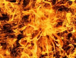 Angkot JakLingko Terbakar di Jatinegara, Ini Dugaan Penyebab dan Kronologi Lengkapnya