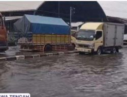 Pantura Semarang-Demak Akhirnya Lancar! Ini 5 Titik Rawan & Solusi Dishub