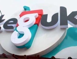 TGUK (Platinum Wahab Nusantara) Alihkan Rp42,9 Miliar Dana IPO ke Bisnis Frozen Food, Ini Strategi dan Prospek Pasar
