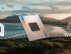 Google Chip Willow: Klaim Terobosan Baru 13.000x Lebih Cepat, Benarkah?