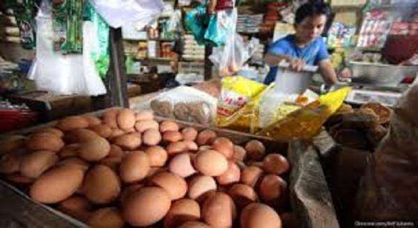 Update Harga Pangan 25 Oktober 2025: Cabai Anjlok, Beras & Minyak Goreng Melonjak!