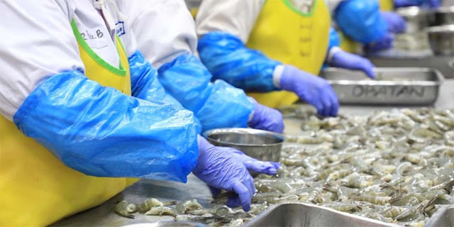 Udang & Cengkeh Indonesia Ditolak AS! Ini Pemicu Kontaminasi Cesium-137 yang Mengancam Ekspor