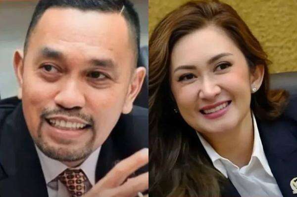 NasDem Tahan Pengganti Sahroni & Nafa Urbach di DPR, Ini Kata Saan Mustopa