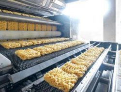 Prospek Saham F&B & Unggas 2025: Rekomendasi INDF dan JPFA di Tengah Daya Beli Melemah