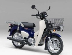 Honda Super Cub 110 & Cross Cub 110 2025: Warna Baru, Harga, dan Review Spesifikasi Terlengkap