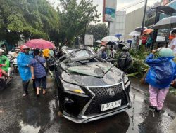 Tewas Tragis! Mobil Lexus Ringsek Dihantam Pohon Tumbang di Pondok Indah, Ini 4 Tips Antisipasi Cuaca Ekstrem dari BNPB