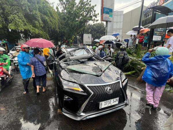 Tewas Tragis! Mobil Lexus Ringsek Dihantam Pohon Tumbang di Pondok Indah, Ini 4 Tips Antisipasi Cuaca Ekstrem dari BNPB