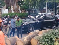Mobil Lexus Ringsek Dihajar Pohon Tumbang di Pondok Indah, 1 Orang Tewas!
