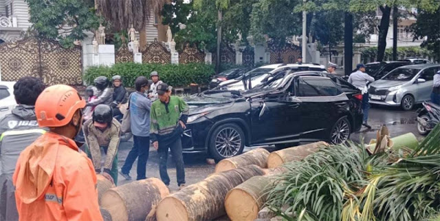 Mobil Lexus Ringsek Dihajar Pohon Tumbang di Pondok Indah, 1 Orang Tewas!