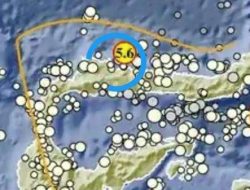 Gempa M 5,6 Guncang Buol Sulteng, BMKG Pastikan Tidak Berpotensi Tsunami