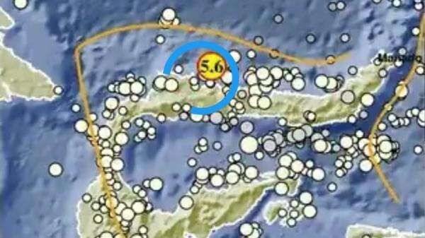 Gempa M 5,6 Guncang Buol Sulteng, BMKG Pastikan Tidak Berpotensi Tsunami