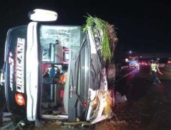 Bus PO Haryanto Terguling di Tol Batang, 3 Tewas: Ini Faktor Penyebab dan Bahaya Ban Aus