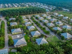 CSRA Cetak Pendapatan Rp1,33 Triliun di 2025, Laba Bersih Melonjak 71%!