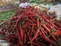 Lonjakan Gila! Harga Cabai Keriting Tembus Rp 83.000 per Kg, Bawang Merah & Daging Sapi Justru Anjlok