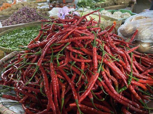 Lonjakan Gila! Harga Cabai Keriting Tembus Rp 83.000 per Kg, Bawang Merah & Daging Sapi Justru Anjlok