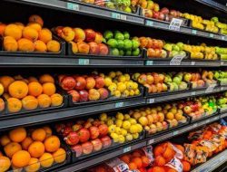 Dividen Interim BUAH Rp 12,5 Per Saham Cair 28 November 2025, Ini Jadwal Lengkapnya