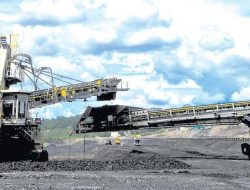 HRUM Saham: Pilar Batu Bara & Raja Nikel Masa Depan?