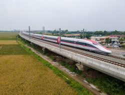 Biaya Whoosh vs Kereta Arab: Rp 118 T untuk 142 km, Lawan 1.500 km dengan Budget Hampir Sama