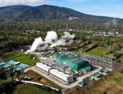 PGE Raup Pendapatan Rp5,2 Triliun, Lampaui Target! Ini Kunci Suksesnya
