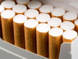 Saham Rokok Melejit Lagi! Proyeksi HMSP, WIIM, dan ITIC Bisa Tembus Rp 1.200 - Rp 20.000