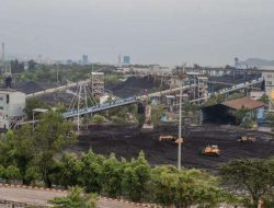 PTBA Catat Laba Rp1,4 Triliun di Kuartal III 2025, Turun 59%: Ini Penyebab & Strateginya