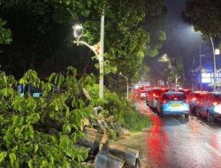 Kemacetan Parah & 1 Tewas di Dharmawangsa Akibat Pohon Tumbang Timpa 5 Mobil