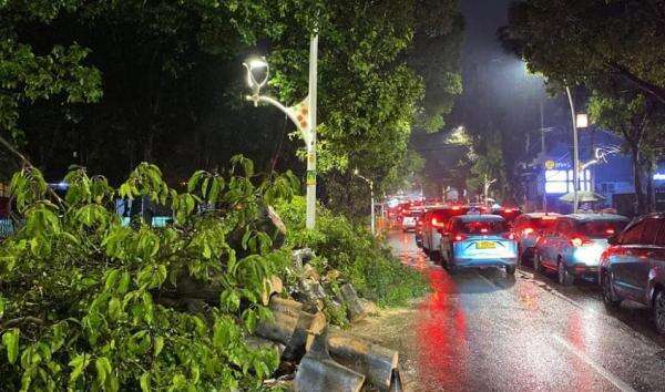 Kemacetan Parah & 1 Tewas di Dharmawangsa Akibat Pohon Tumbang Timpa 5 Mobil