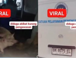 BGN Laporkan Pemilik Mobil Berstiker Badan Gizi Nasional yang Angkut Babi