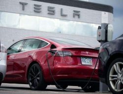 Robotaxi Tesla Cybercab Bakal Debut di Shanghai November 2024