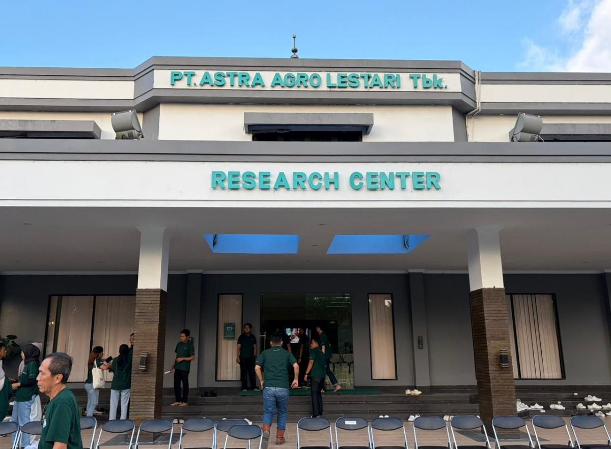 Bibit Sawit AALI Unggul: Tahan Ganoderma & Produktivitas Tinggi