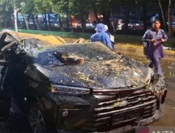 Pohon Tumbang di Darmawangsa Jaksel Tewaskan 1 Orang, Ini Kronologi Lengkapnya