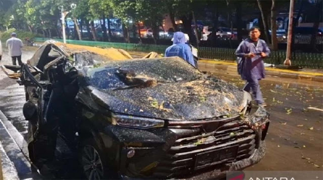 Pohon Tumbang di Darmawangsa Jaksel Tewaskan 1 Orang, Ini Kronologi Lengkapnya