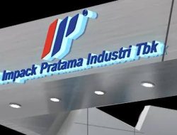 IMPC Cetak Laba Bersih Rp170 Miliar di Kuartal III 2025, Tumbuh 30,5%