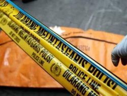 Anak 8 Tahun Tewas Diserang Kawanan Gajah Liar di Pekanbaru, Ini Penyebabnya