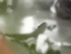 Tawuran di Sawangan Depok: Kronologi, Korban Luka Bacok, dan Pengejaran Pelaku