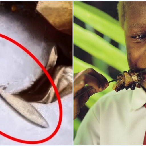 Ulat di Menu MBG SMAN 1 Kamal Diklaim Tinggi Protein, Ini Faktanya