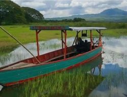 3 Tempat Wisata di Madiun 2025: Murah, Instagramable & Lagi Viral!