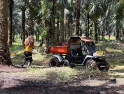 Transformasi Digital Astra Agro (AALI) Pacu Produktivitas & Keberlanjutan Sawit