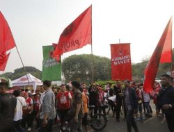 Projo Ganti Logo: Hapus Siluet Jokowi untuk Hindari Kesan Kultus Individu