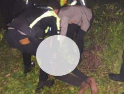 Kecelakaan Maut di Merauke: Truk Tabrak Pejalan Kaki hingga Tewas, Pengemudi Kabur