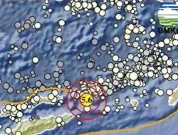 Gempa Magnitudo 5.6 Guncang Maluku Barat Daya, BMKG: Tak Berpotensi Tsunami