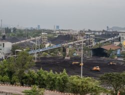 Laba Bersih PTBA (Bukit Asam) Tembus Rp1,4 Triliun di Kuartal III 2025, Ini Strateginya