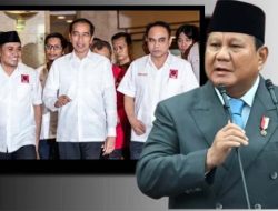 Hasil Kongres III Projo: 5 Rekomendasi Kunci dan Transformasi Dukungan ke Prabowo