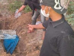 Mayat Pria Terkubur di Kebun Siak Ditemukan Warga, Diduga Korban Pembunuhan