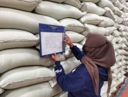 Harga Beras Turun Oktober 2025: Update Terbaru dari Tingkat Penggilingan hingga Eceran