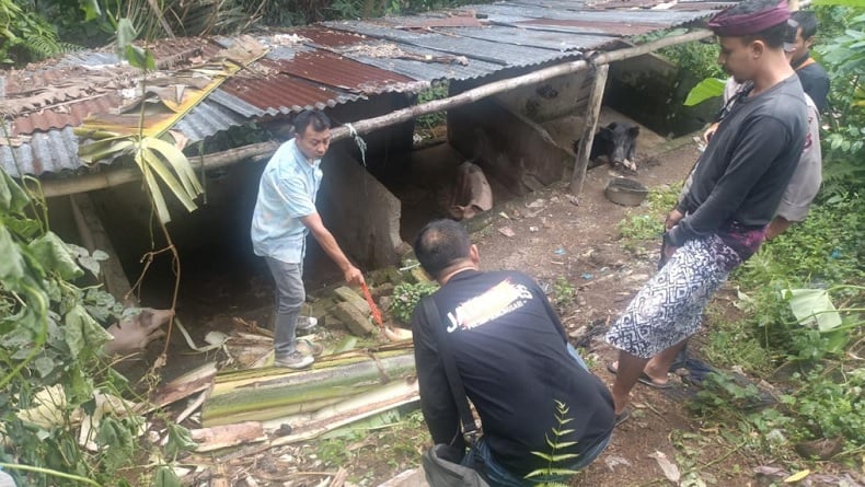Petani di Lombok Barat Tewas Tersengat Listrik Saat Tebang Pohon Pisang, Ini Kronologinya