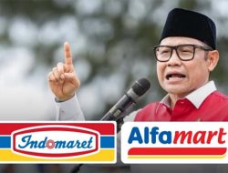 Dampak Alfamart & Indomaret: Benarkah Membunuh UMKM? Ini Faktanya
