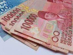 Lowongan Kerja Gaji Rp100 Juta/Bulan: Pemberi Makan Harimau & Beruang di Kebun Binatang Tiongkok