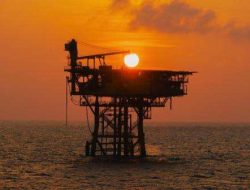 Harga Minyak Hari Ini Naik Tipis: Analisis OPEC+ dan Proyeksi 2026